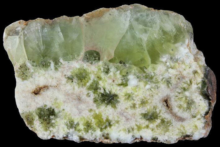 Wide Polished Prehnite Slab - Australia #95213